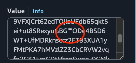 Incorrect Route 53 DKIM configuration with space between quoted strings